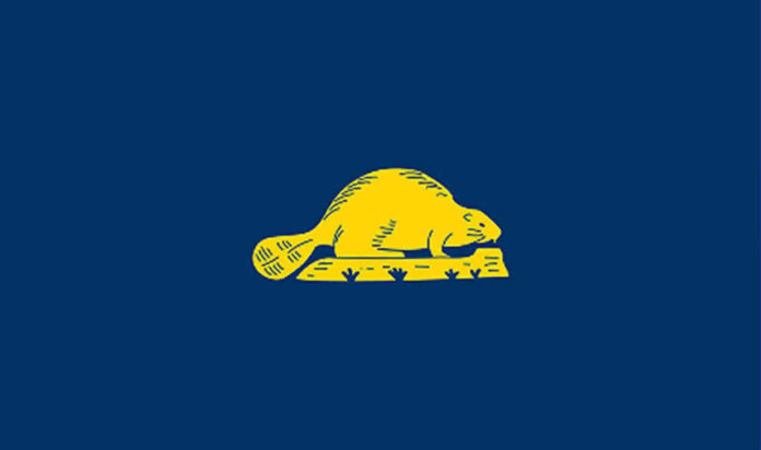 Oregon State Flag