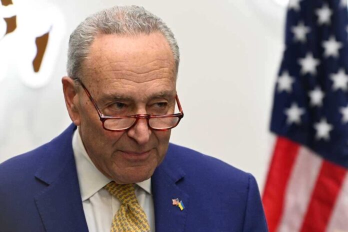 shutterstock_2433744405.jpg featured image Majority Senate Leader, Chuck Schumer in suit with glasses, American flag background.