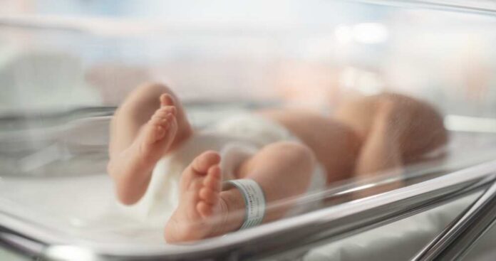 shutterstock_2288052627.jpg featured image Newborn baby in hospital bassinet with ID band.