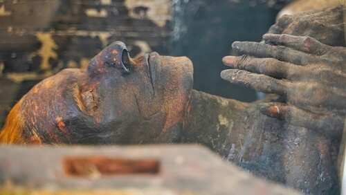 Close-up of an ancient mummy displayed in a glass case
