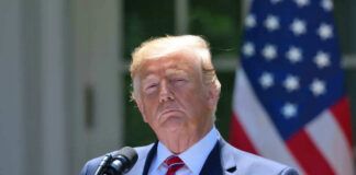 President Donald Trump
