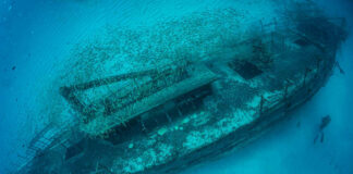 Underwater shipwreck with divers and school of fish.