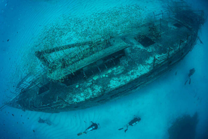 Underwater shipwreck with divers and school of fish.