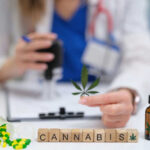 Doctor analyzing cannabis products on a desk