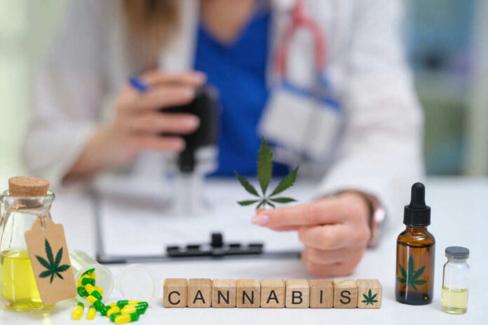 Doctor analyzing cannabis products on a desk
