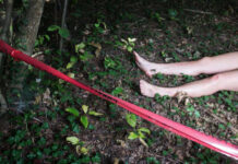 HORRIFYING Discovery — Six Dead Bodies Bare feet visible near caution tape in a wooded area