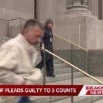 Actor Shia LaBeouf pleads guilty to simple battery for New Orleans Mardi Gras incident