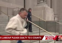 Actor Shia LaBeouf pleads guilty to simple battery for New Orleans Mardi Gras incident
