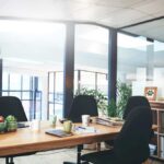 Shareholder Revolt: Delaware Dumped Modern conference room with wooden table and black chairs