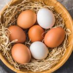 19 Million Eggs VANISH — What’s Lurking Inside?