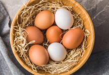 19 Million Eggs VANISH — What’s Lurking Inside?