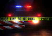 Museum Alarm Snooze Lets Thieves Stroll Police car with flashing lights behind caution tape.