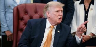 Trump: Jeanine Pirro 'made a mistake' dropping Reflecting Pool vandalism case