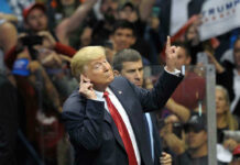 Freefall Rattles Trump President Donald Trump