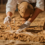 Shocking Find Under Soccer Field Archaeologist carefully excavating fossils in sandy soil