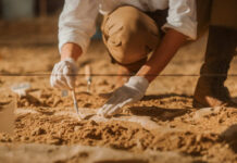 Shocking Find Under Soccer Field Archaeologist carefully excavating fossils in sandy soil