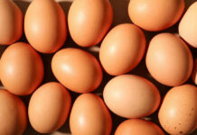 Tainted Eggs Lead To Multiple Hospitalizations Brown eggs arranged closely together in bright light
