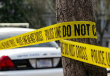 Unsealed Letter Hints at Dumpster Night Police tape surrounding a tree and police car.