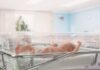 Baby Bust Hits New Low Newborn baby lying in a transparent crib in a hospital nursery