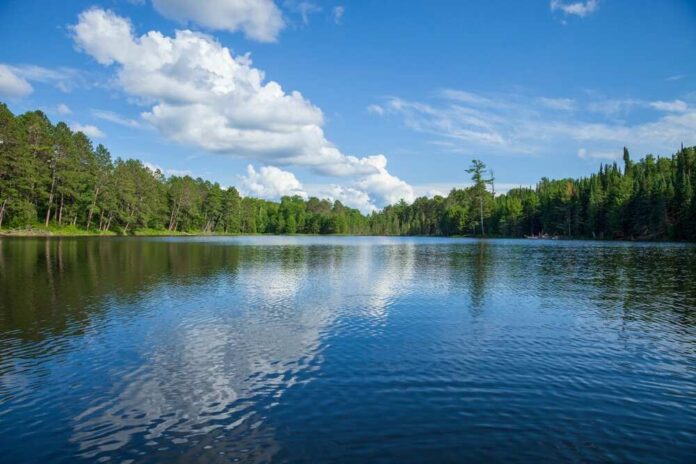 A tranquil lake surrounded by trees under a blue sky with fluffy clouds