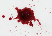 BOMBSHELL: Bloody Prints Don’t Match Red liquid splatter on a white background.