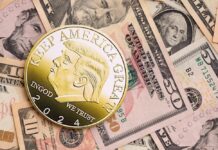Meme Coin Madness commemorative coin on assorted US dollar bills